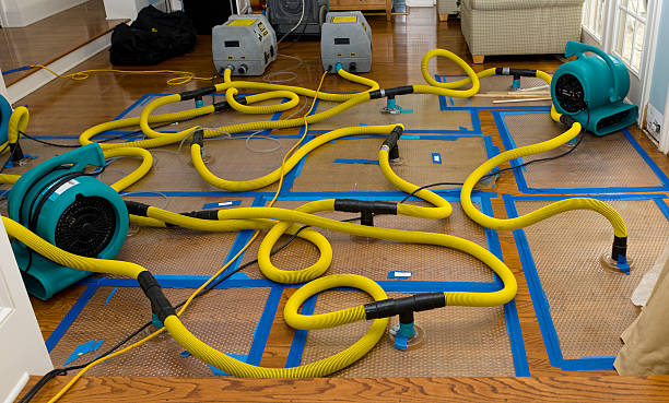 Professional Crawl Space Water Removal technician working in Novi, MI